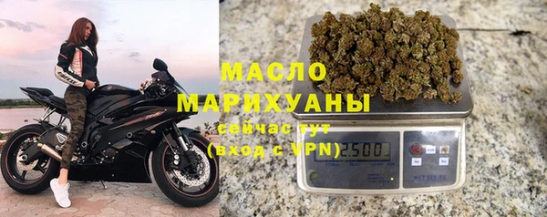 хмурый Арсеньев