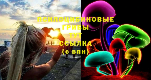 крисы Армянск