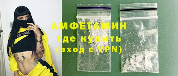 хмурый Арсеньев