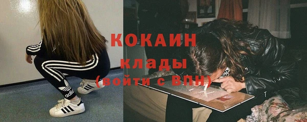 хмурый Арсеньев